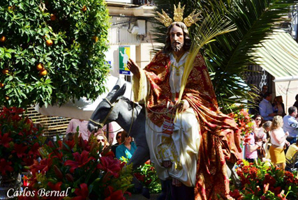 COFRADÍA DE LA ENTRADA TRIUNFAL DE JESÚS EN JERUSALÉN